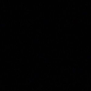 Meet your Posher, Coleen